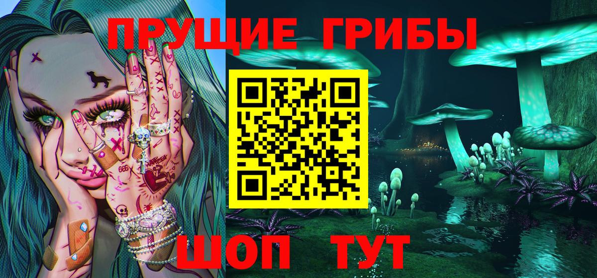 Грозный  Галлюциногенные грибы мицелий  где купить наркотик  Галлюциногенные грибы Magic Shrooms  Вход с VPN 