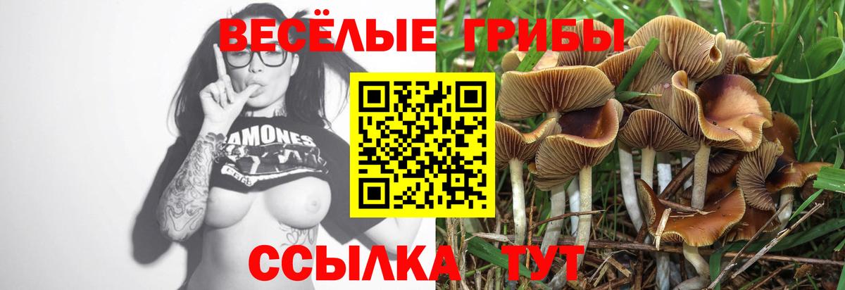 Псилоцибиновые грибы прущие грибы Грозный